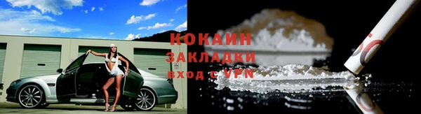 шишки Киреевск