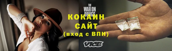 прущие грибы Кинешма