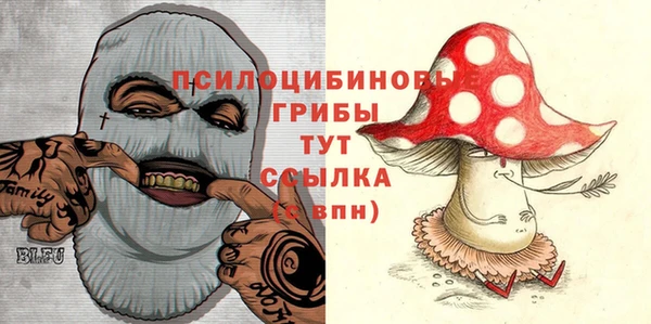 шишки Киреевск
