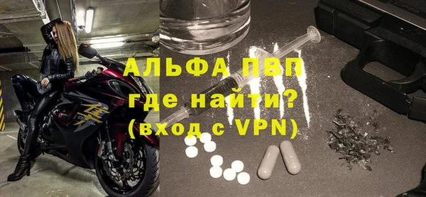 прущие грибы Кинешма
