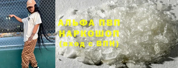 прущие грибы Кинешма