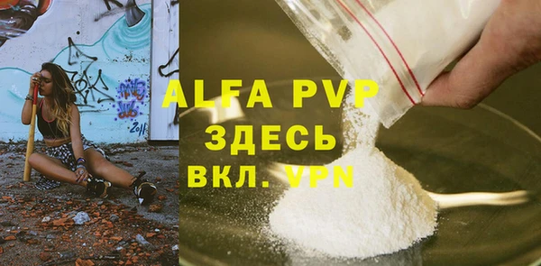 прущие грибы Кинешма