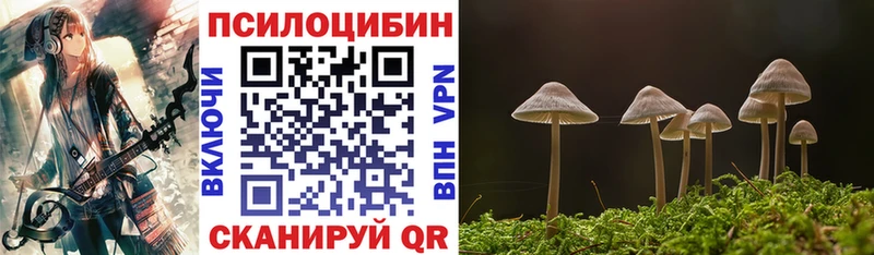 Купить где  Бологое  Галлюциногенные грибы мицелий 